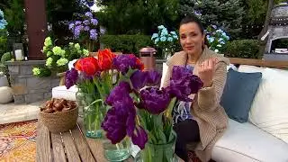 Ships 10/2 Bloomeffects 25-Piece Double Royal Tulip Bulbs on QVC