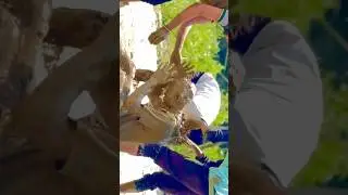 दिहाती होली trailer😂 || happy Holi #holi #happyholi #shorts #funnyholi #ytshorts