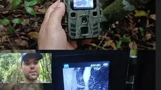 ceva com manga, (resultado)