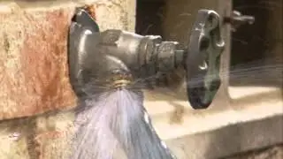 Dallas Water Utilities - Save Water Campaign
