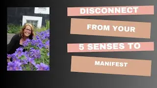 Disconnect from your 5 senses to manifest