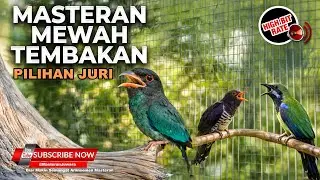 🔴Live Masteran Murai Batu Isian Mewah Cucak Cungkok Gacor Tengkek Buto Kedasih Viollet Cucak Jenggot
