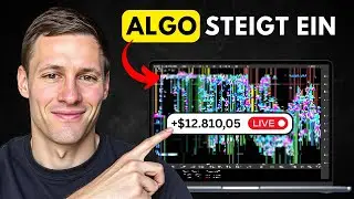 DIESE Professionelle Trading Strategie erkennt &ldquo;HFT Algos&rdquo; &ndash; und bringt bis zu $12.810,05/Tag