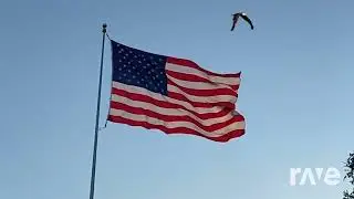 [American Glory] 🪙🦅😎🫡