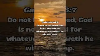 Be sure that you plant the right seeds. #god #interstellar #piano #godswork #motivation