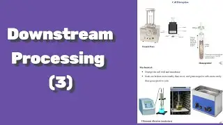 Downstream Processing(3)| Explained| Bioprocess & Biochemical Engineering