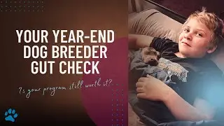 Is Dog Breeding the Bringer of Good Things in Your Life?