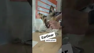 EarGear cosplay ears are animatronic fun! Airbrushed as you wish - and they sync with our MiTails