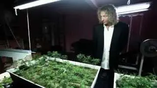 How to Make Money Selling Drugs (2012) - Documentaire Trailer