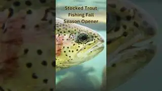 Illinois Fall Trout Season Opens Oct. 21 #fishing #troutfishing