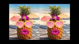 Radio 69 - La Pi&ntilde;a [Video Lyrics]