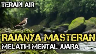 MASTERAN Burung Kecil Tembakan Tajam ,Terapi Air ,Terapi Air Untuk Semua Jenis Burung ,Gemericik Air