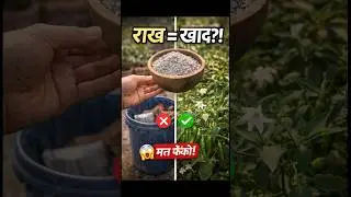 90% लोग राख फेंक देते हैं&hellip; ये Super Fertilizer है! 😱🌿 #shorts #gardening #trendingshorts #youtube