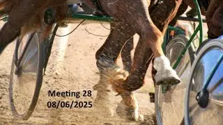 Meeting 28 - 08/06/2025