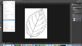 How to Save Your Own Brush in Photoshop CS6