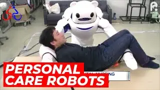 THE DEVELOPMENT OF A PERSONAL CARE ROBOT