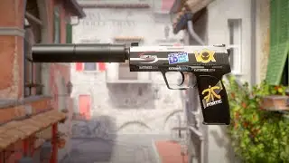 My Little CS2 Inventory Tour(Sticker Crafts)