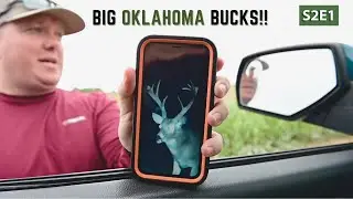 Chris Ogle : BIG OKLAHOMA BUCKS!!