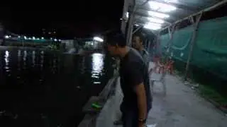 Kolam Pandamaran..karen gilee.....