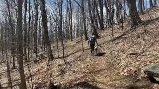 Cole Mountain Appalachian Trail Hike