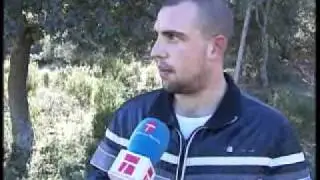 UN MUERTO Y TRES INTOXICADOS POR COMER UNA SETA VENENOSA EN CIUDAD REAL