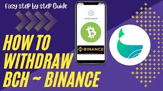 WHALEFIN TO BINANCE WITHDRAWAL BCH