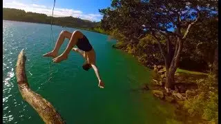 INSANE TREE EDIT