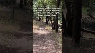 Mindful nature walking. How to start your path to healing.