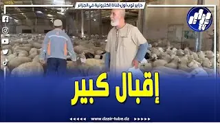 #شاهد من قلب مدينة وهران  إقبال كبير على عملية شراء أضاحي العيد من المواشي المستوردة