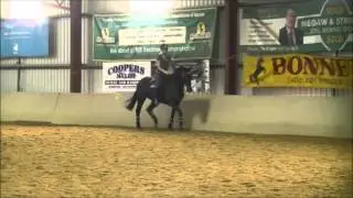 Crossy - Les Friend clinic snippets - April 2014