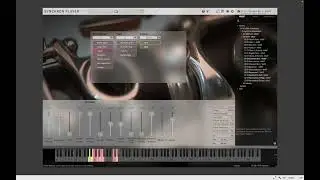 Vienna Synchron Woodwinds - First Play (No Talking)