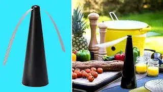 Automatic Fly Trap