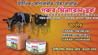 minarel block।মিনারেল ব্লক গরুর রুচি ও খনিজ পদার্থের অভাব পূরন করে