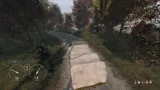 DayZ_20260129194738