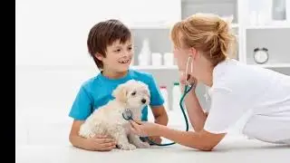 Petco and Nationwide partner to offer insurance and care to more pets