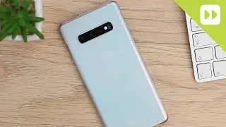 Official Samsung S10 / S10 Plus Clear Case Review