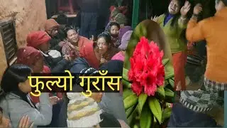 फुल्यो गुराँस  भनौकी नभनौ मायालाइ एउटा कुरा छ ll fulyo guras