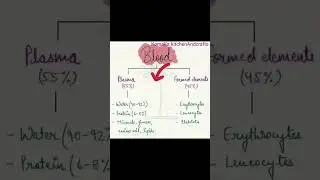 Blood |plasma|Formed Elements|Science |Education