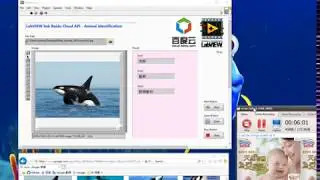 62 LabVIEW link Baidu Cloud API - Animal identification