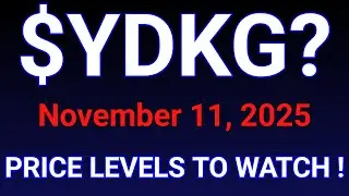 YDKG Stock (Yueda Digital Holding) YDKG Stock Analysis | November 11, 2025