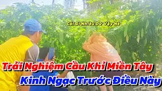 Lần Đầu Tiên Chị Vân Ra Vườn Trải Nghiệm Đi Cầu Khỉ Thu Hoạch Hoa Màu Siêu Trái Của HMN