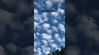 ~🤍🌫#skylove