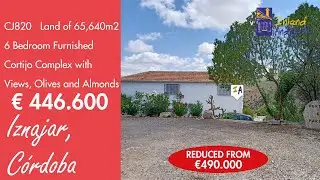 6-спальный комплекс Cortijo + земля площадью 65 640 м2 и оливковые деревья. Недвижимость на прода...