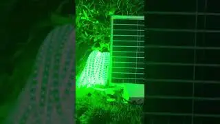 Solar Waterproof LED Strip Light: The Ideal Solution for Sustainable Outdoor Lighting #striplight