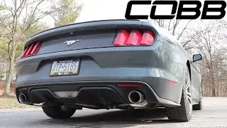 Sound: Cobb Turbo-Back Exhaust - EcoBoost Mustang