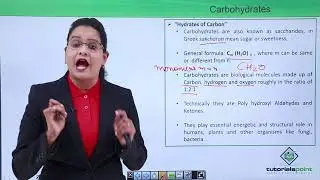 Biomolecules - Carbohydrates