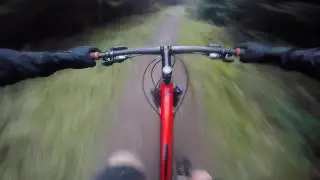 Hamsterly Forest | MTB pikes teeth!