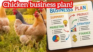 How to make a chicken farming Business plan( beginner friendly