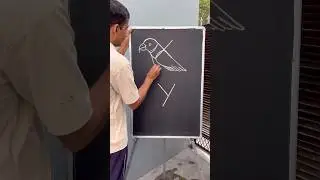 How to draw two parrots step by step ||🦜 #art #parrotart #drawing