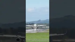 A320 Smooth Landing into Dunedin ✈️🇳🇿